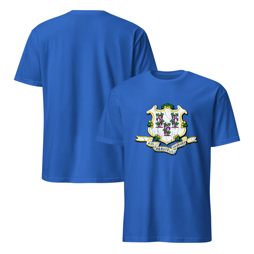 Connecticut State Flag product image (5)