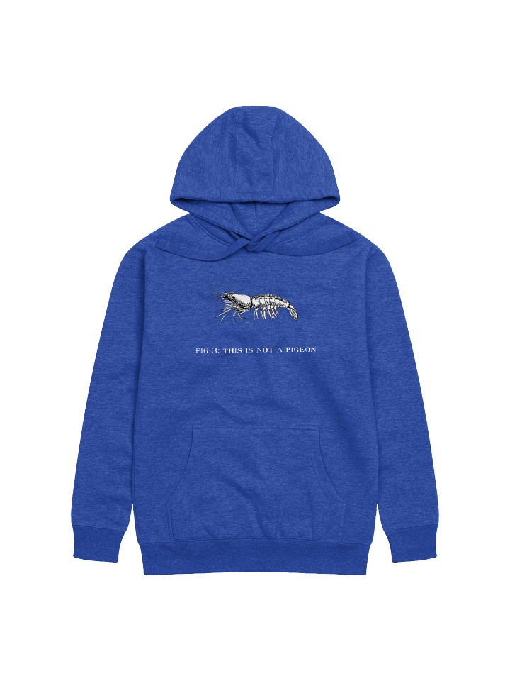 Not A Pigeon- Prawn Hoodie product image (28)
