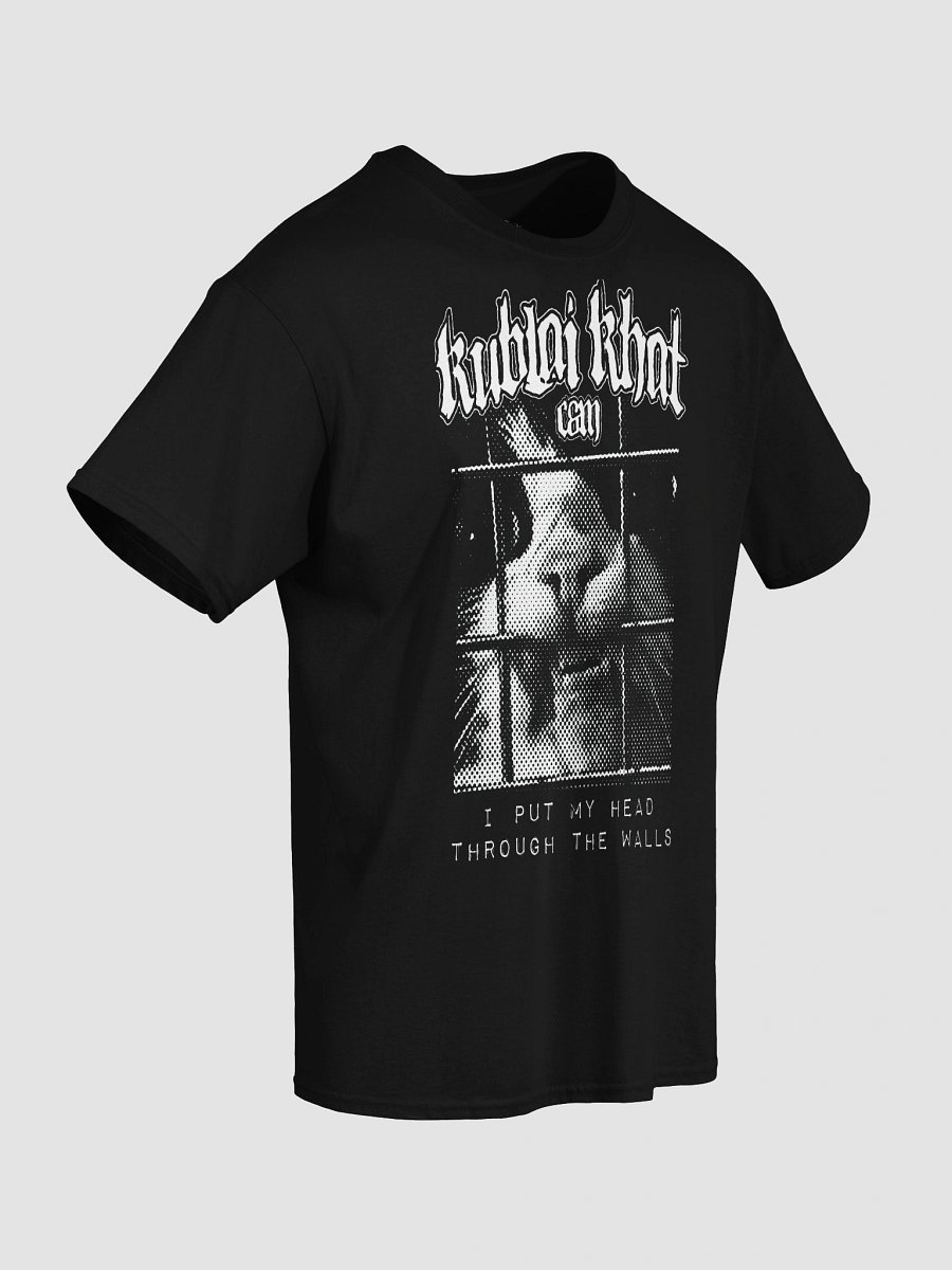 KUBLAI KHAT THROUGH WALLS product image (5)