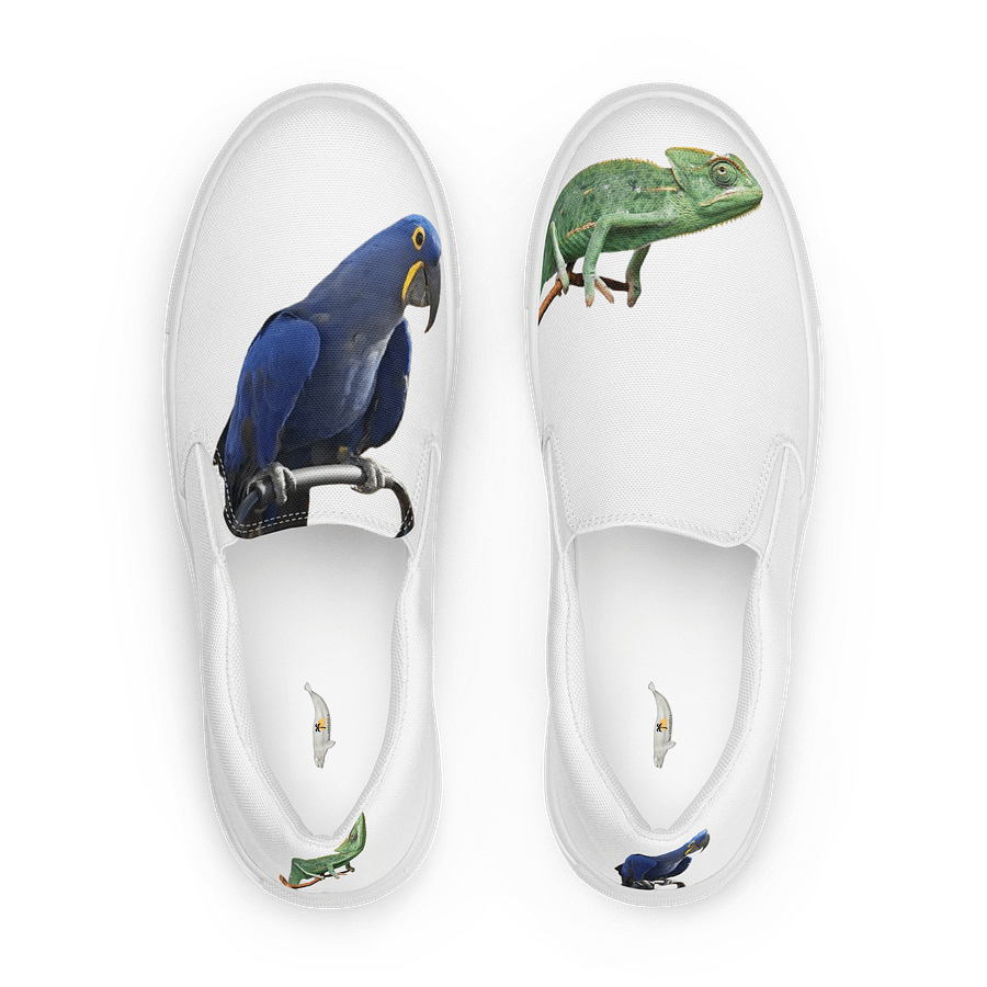 chameleon and makaw shoes product image (1)