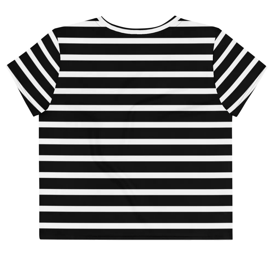 Black & White Stripes Crop Top product image (2)