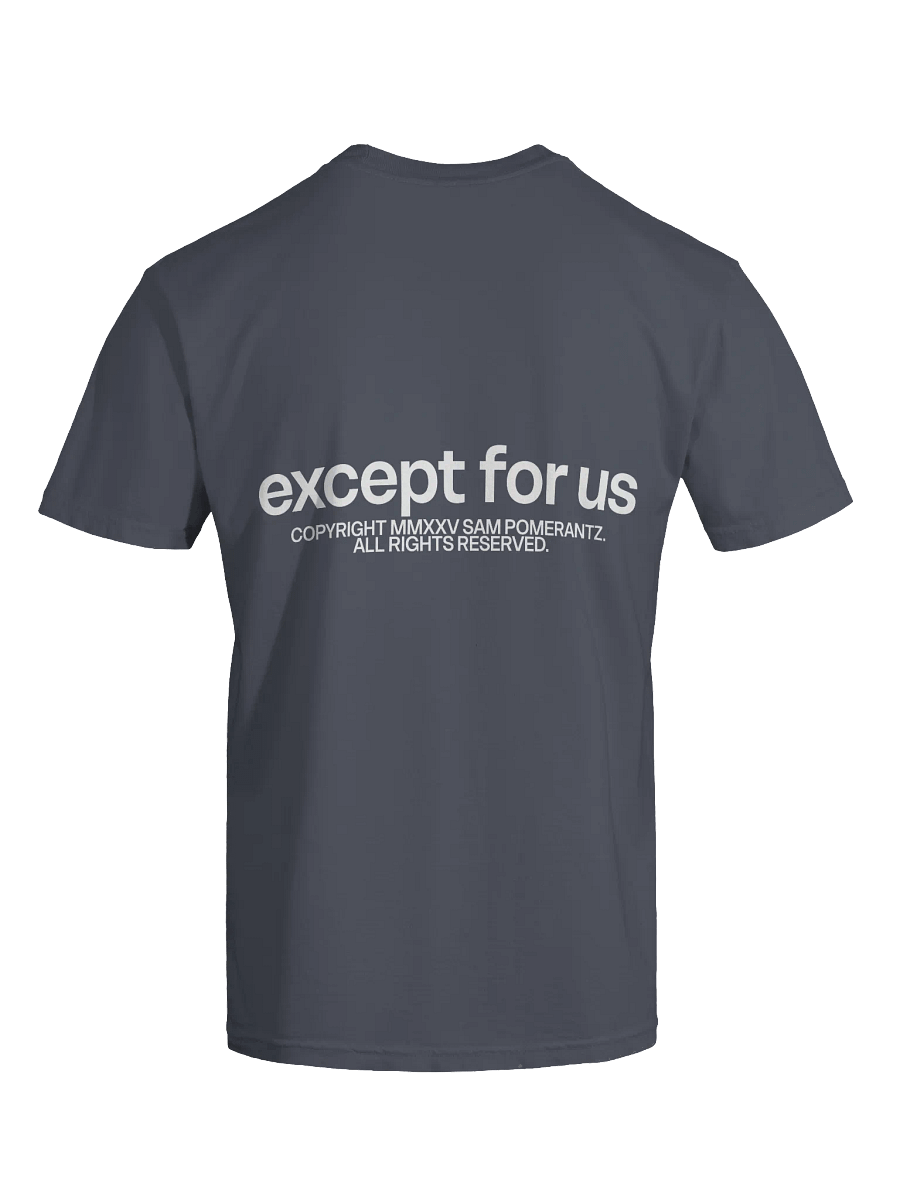 Except For Us Threshold Tee 2 product image (27)