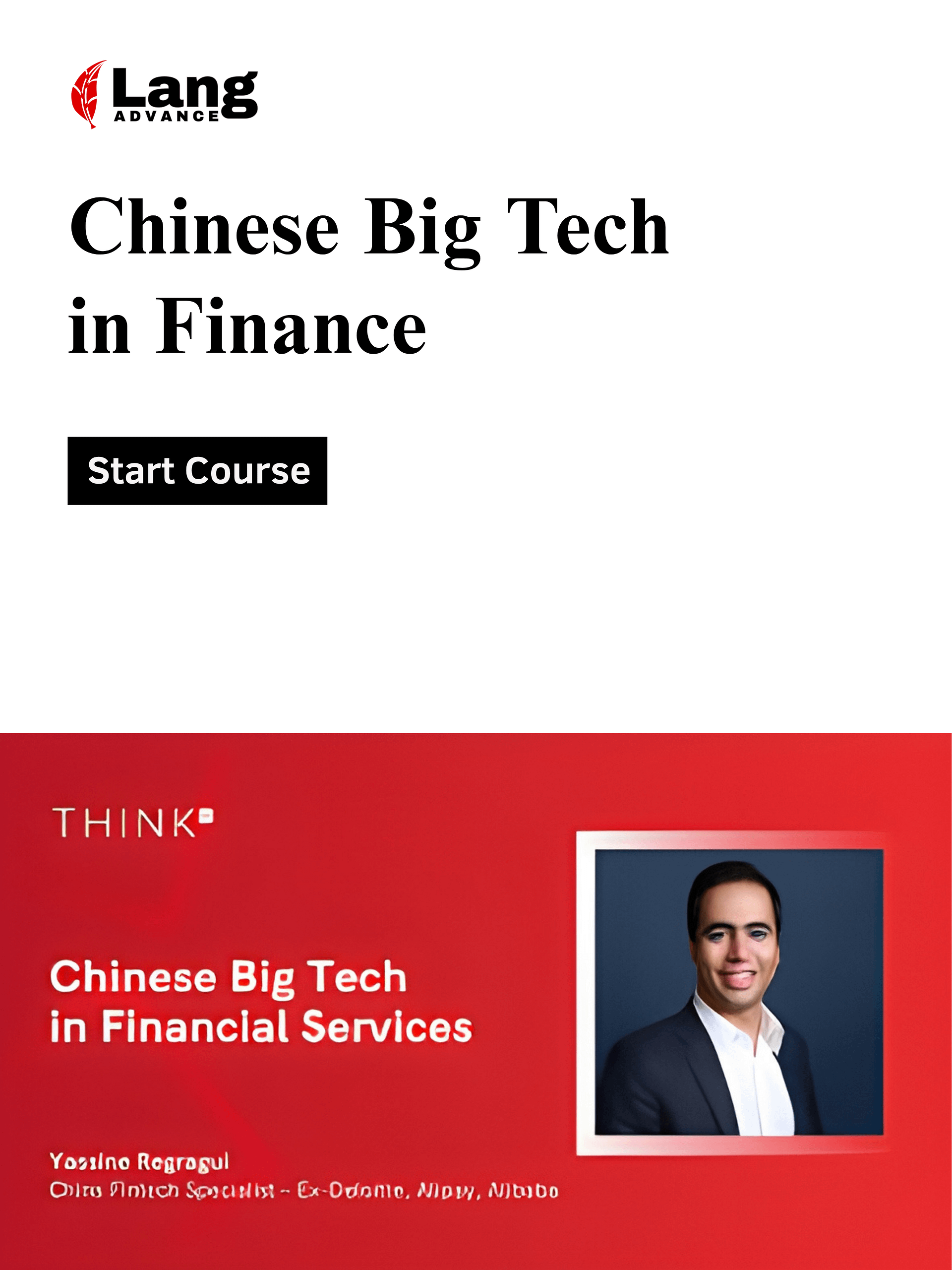 Chinese Big Tech in Financial Services product image (1)