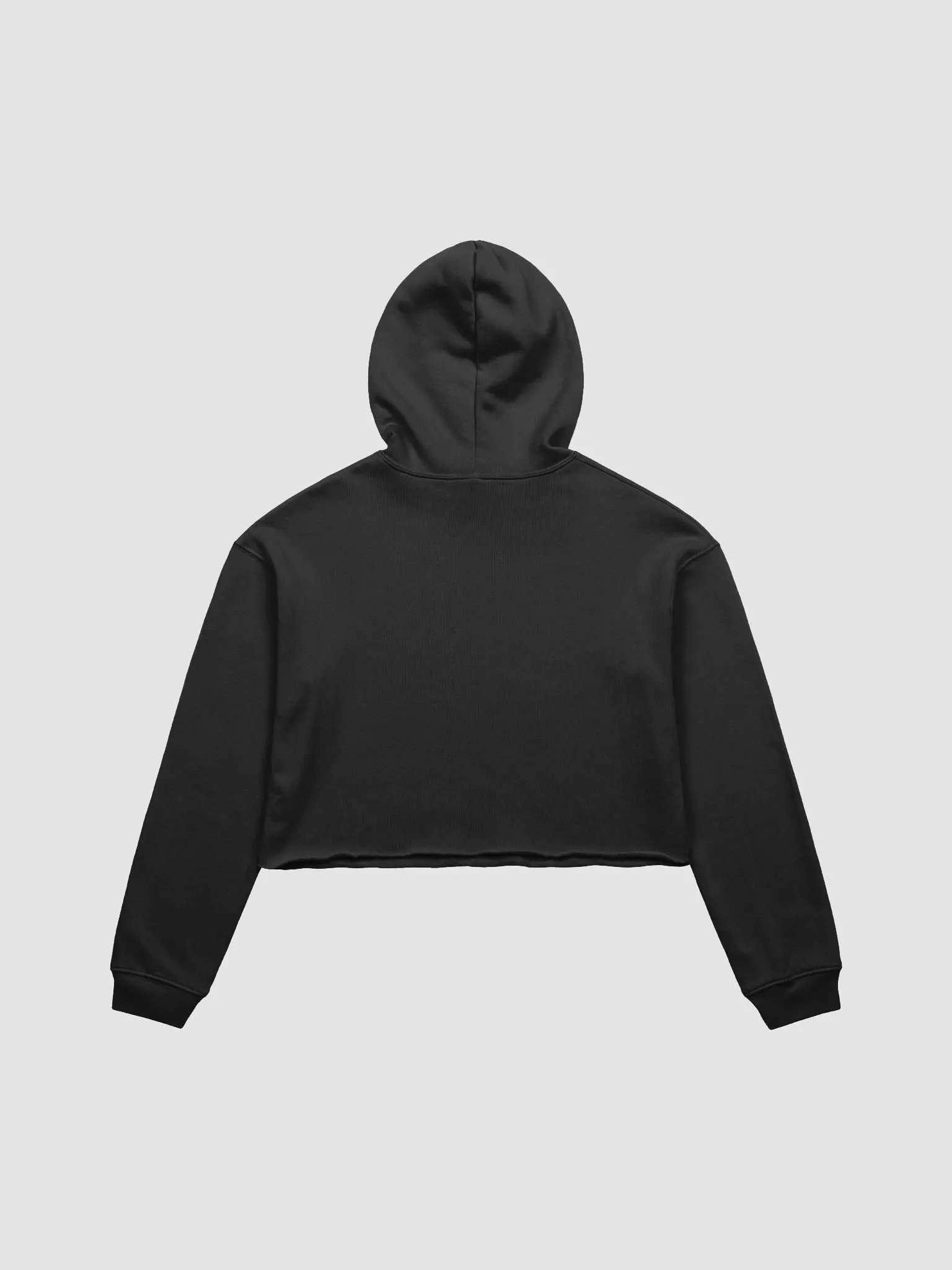 Pundelorian Crop Hoodie product image (14)