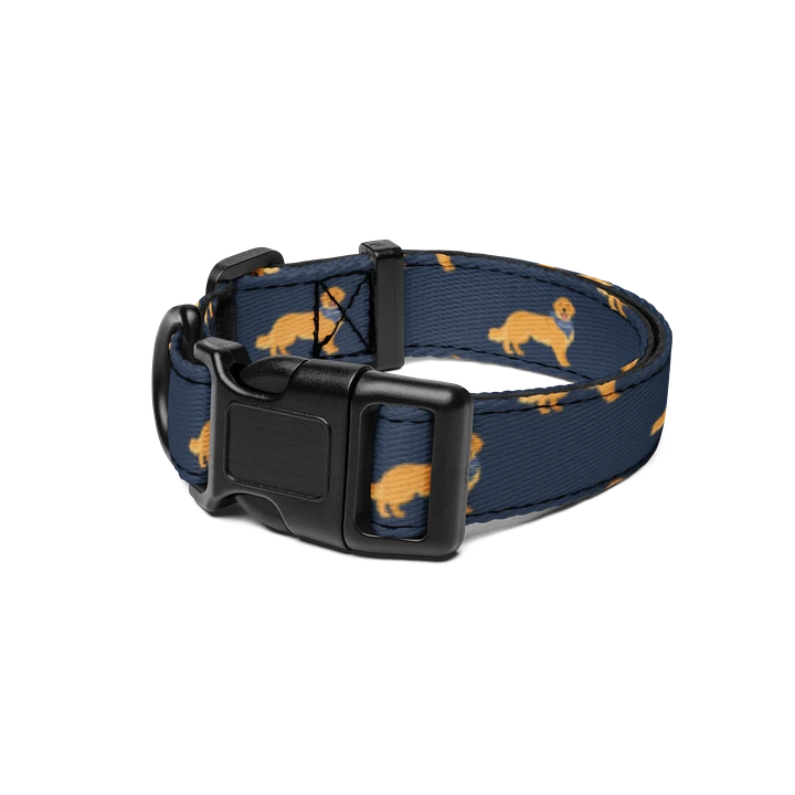 Golden Retriever Dog Collar product image (1)