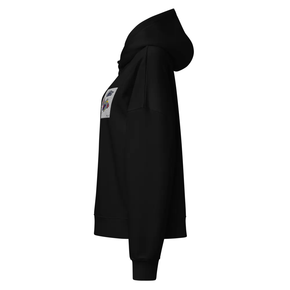 Kid Airplane (Stanley/Stella Women's Organic Hoodie) product image (10)