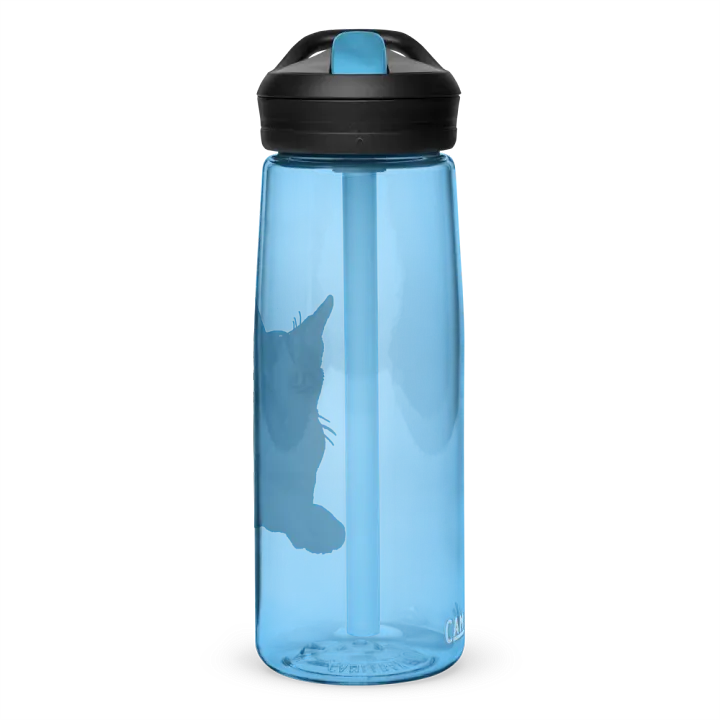 Cat Drawing Water Bottle Straw product image (59)