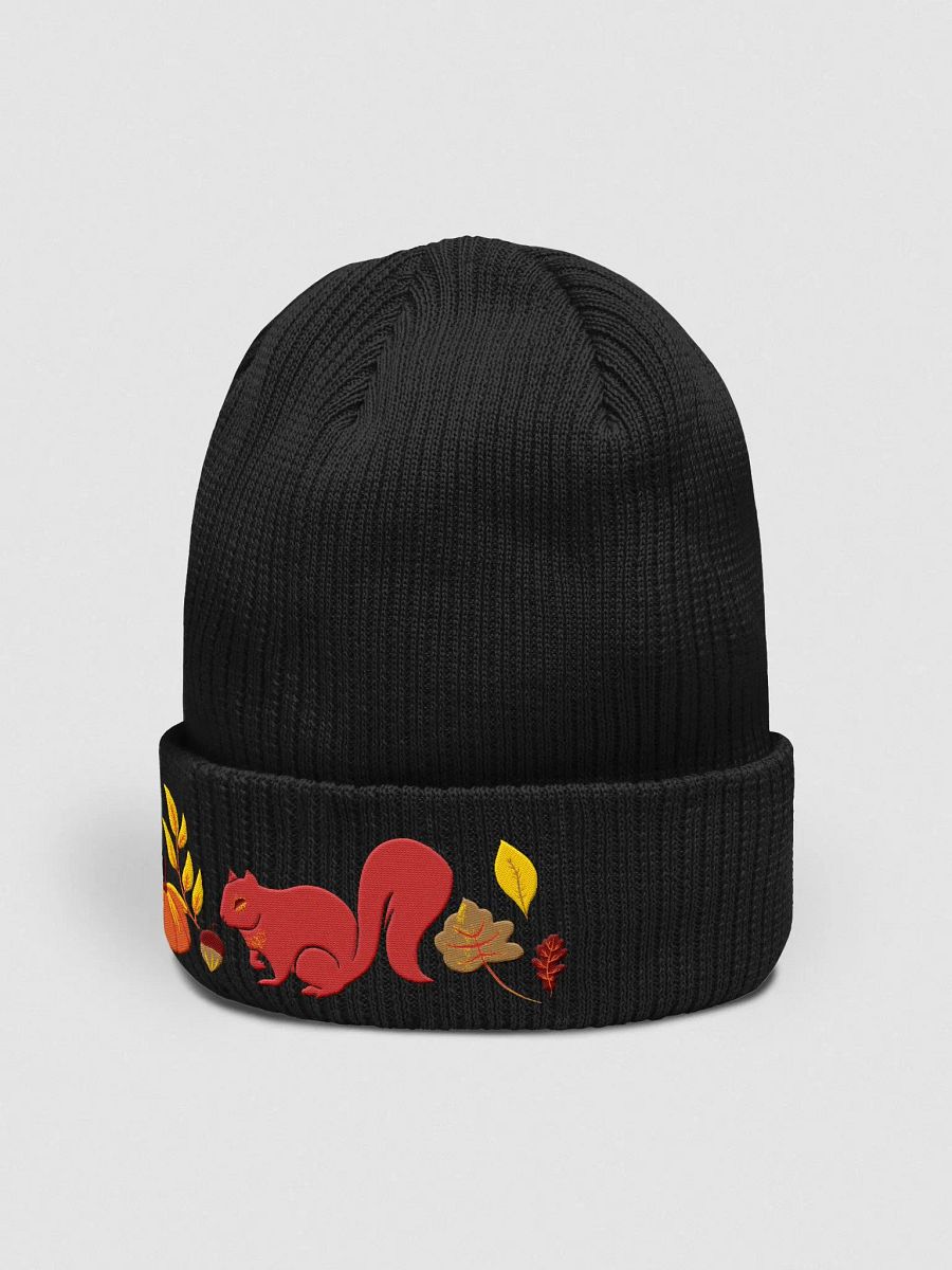 Autumnal Bliss • Organic Beanie product image (3)
