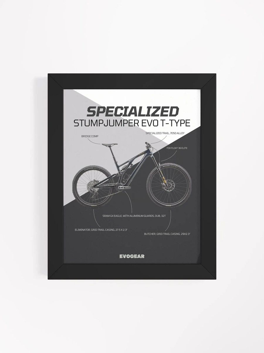 Specialized Stumpjumper EVO Expert T-Type Frame product image (16)
