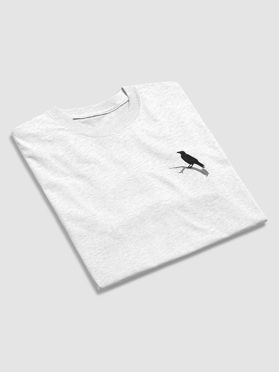 Raven Relaxed Tee product image (15)