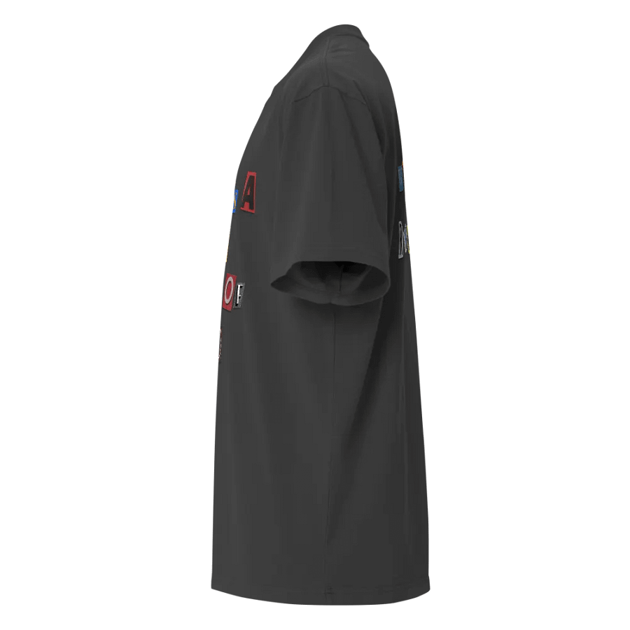Wouldn't Recommend Oversized T-Shirt product image (3)