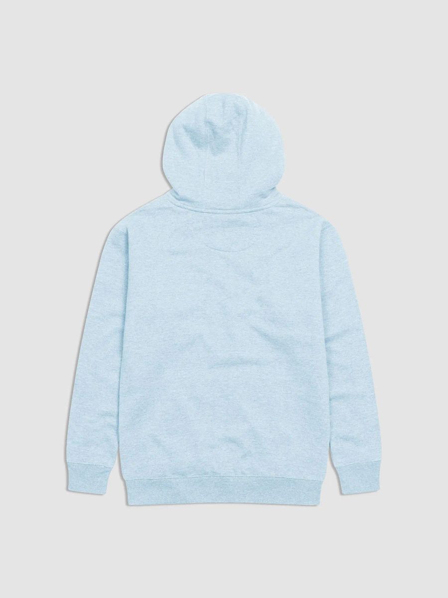 Cozy Comfort Unisex Hoodie product image (2)