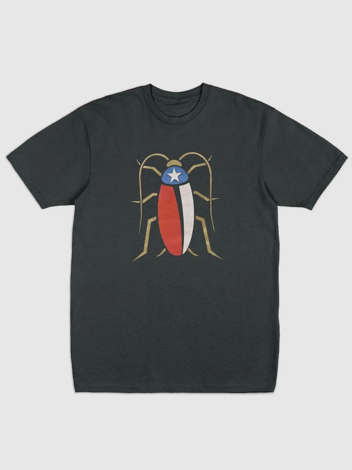 Texas Flag product image (1)