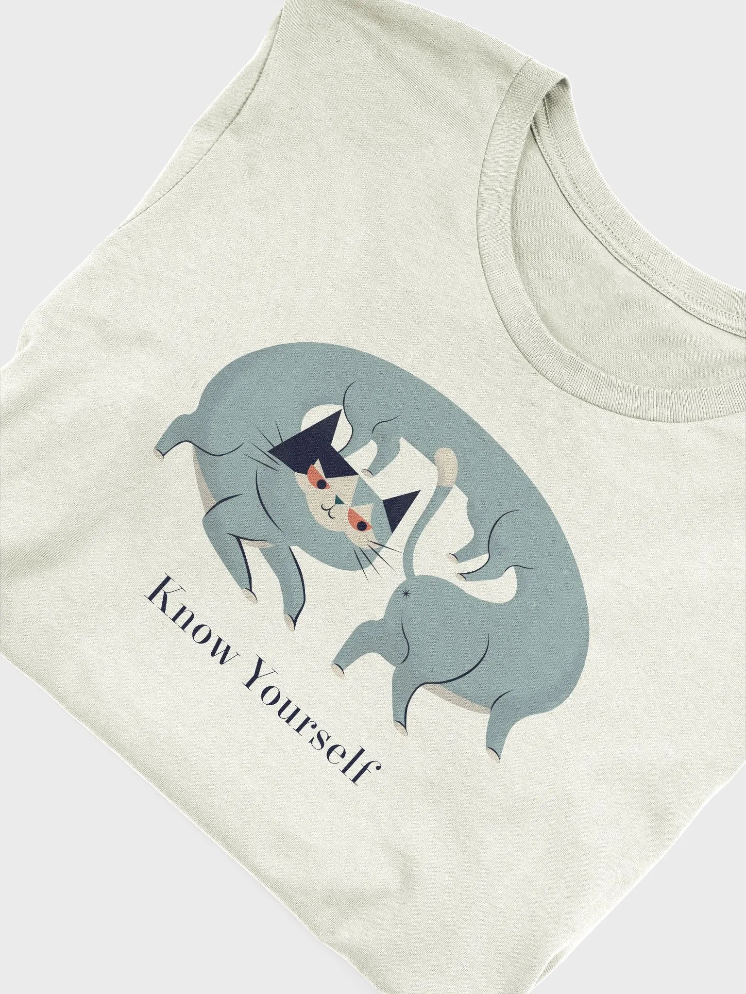 Know Yourself Lightweight Unisex T-Shirt product image (5)