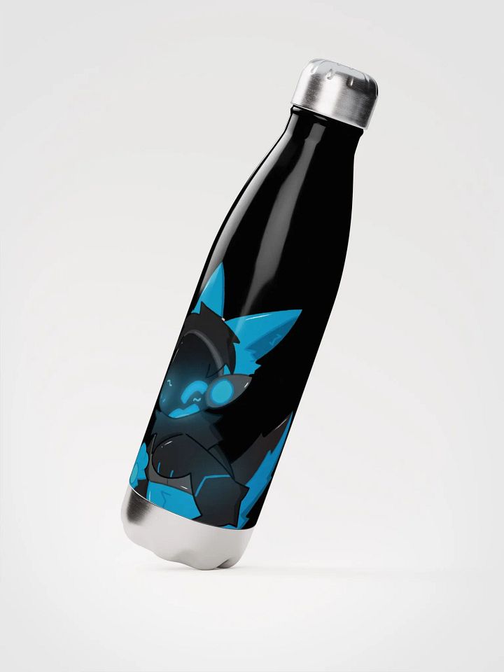 Stainless Steel Bottle product image (2)