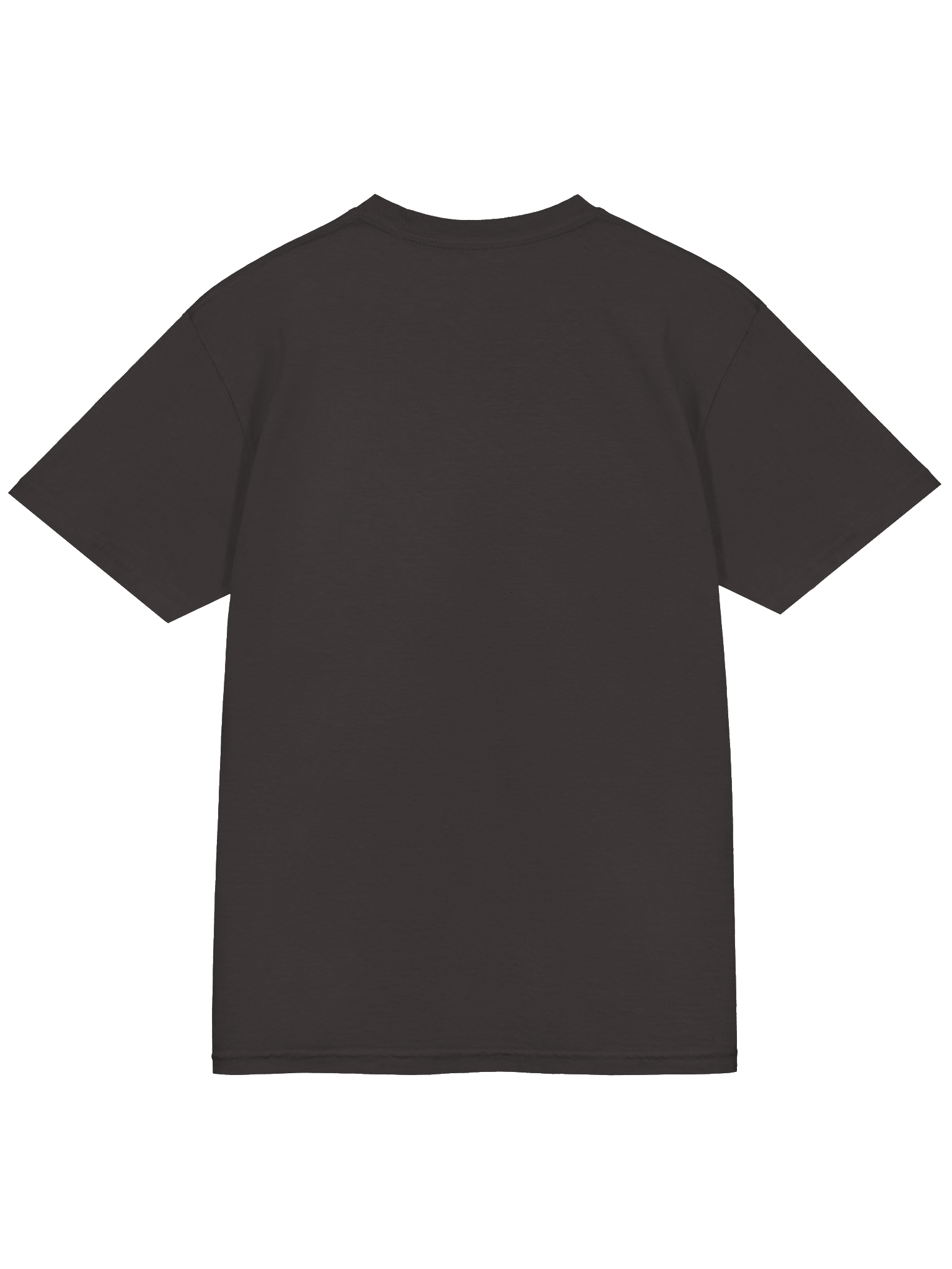 Rockin' Roller Coaster Farewell Tour Tee product image (7)