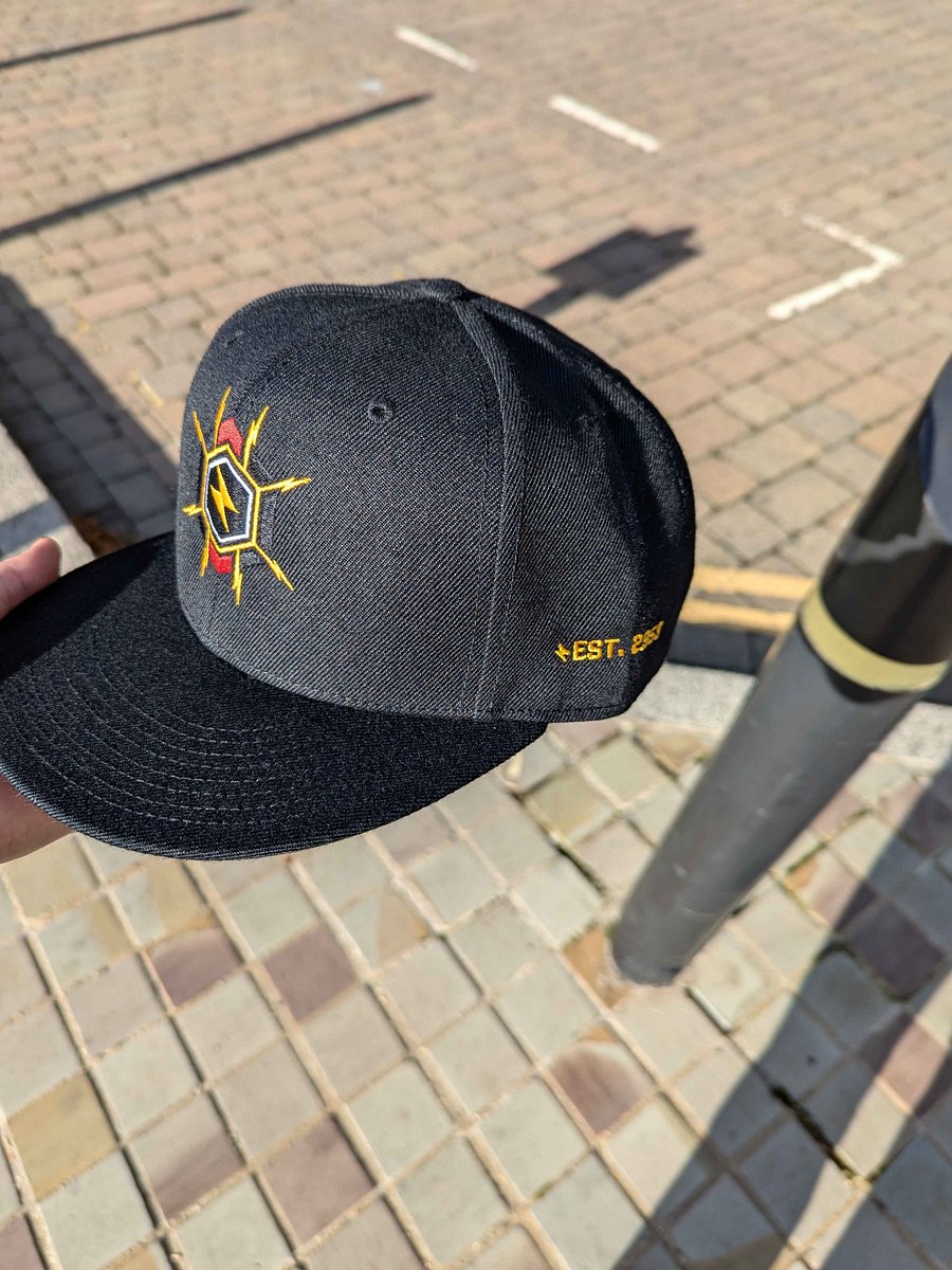 ZAP Logo Snapback Cap [Embroidered] product image (3)