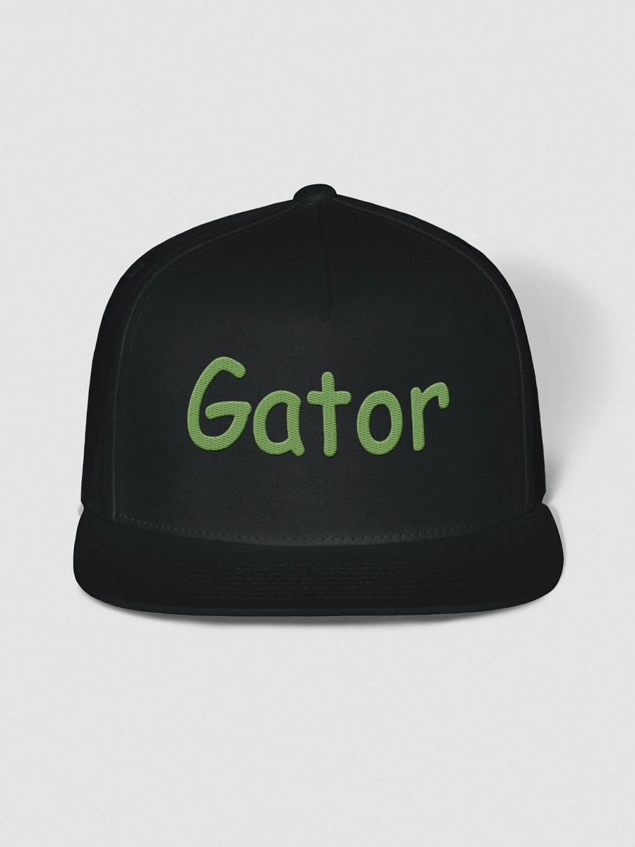 🐊 Gator Basic Hat 🐊 product image (1)