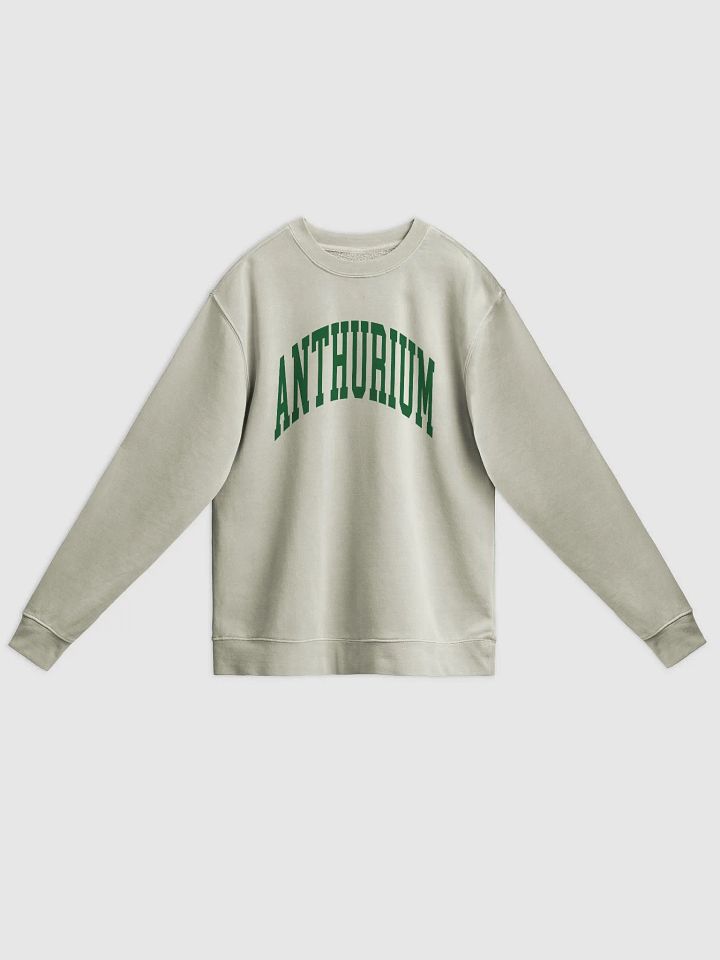 ANTHURIUM varsity unisex midweight pigment dyed crewneck product image (1)