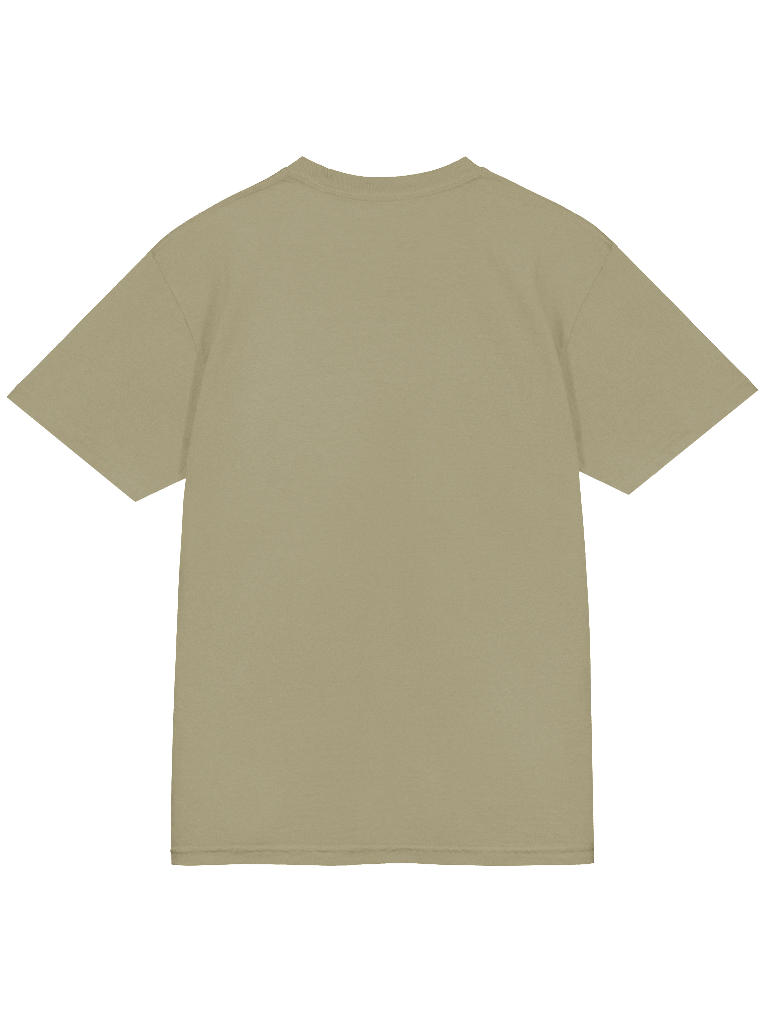 Barry the B*****d T-Shirt product image (5)