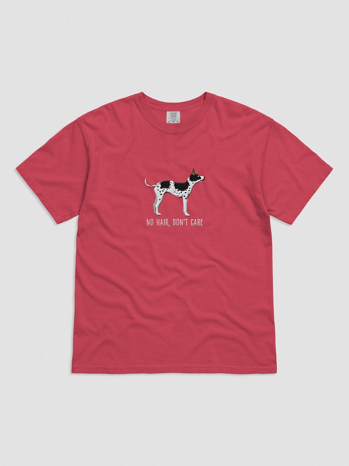 No Hair, Don't Care T-Shirt(Embroidered) of an American Hairless Terrier(Black & White) product image (41)