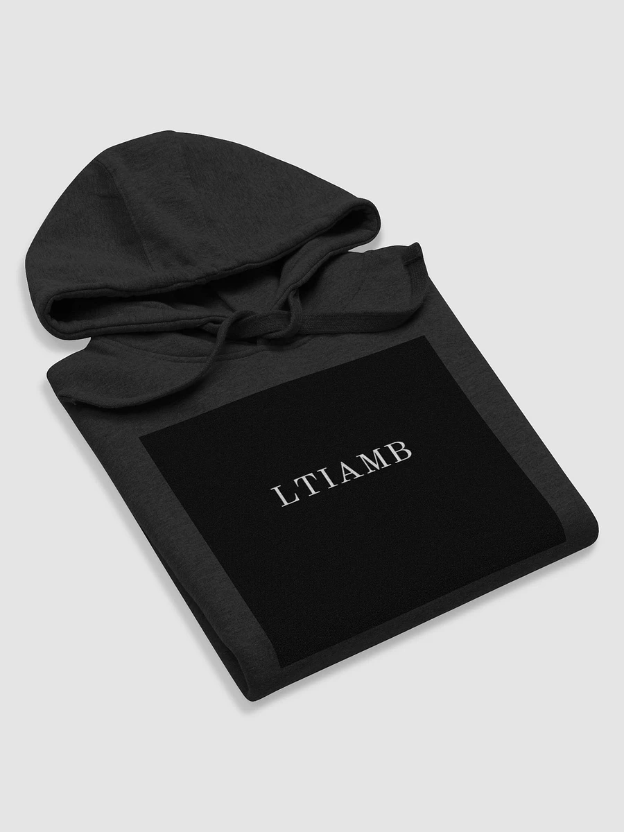 LTIAMB Hoodie product image (6)