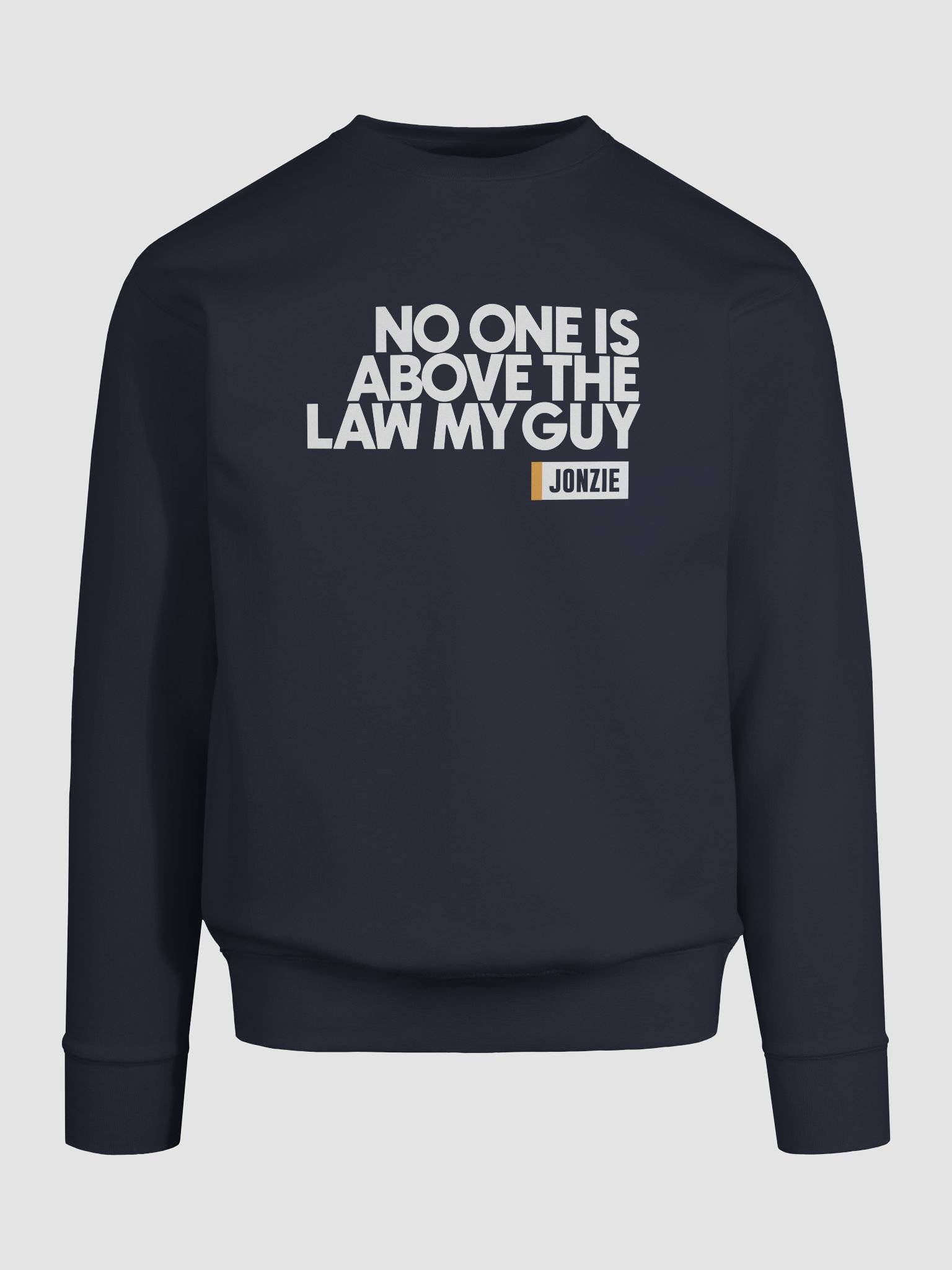 NO ONE IS ABOVE THE LAW SWEAT product image (9)