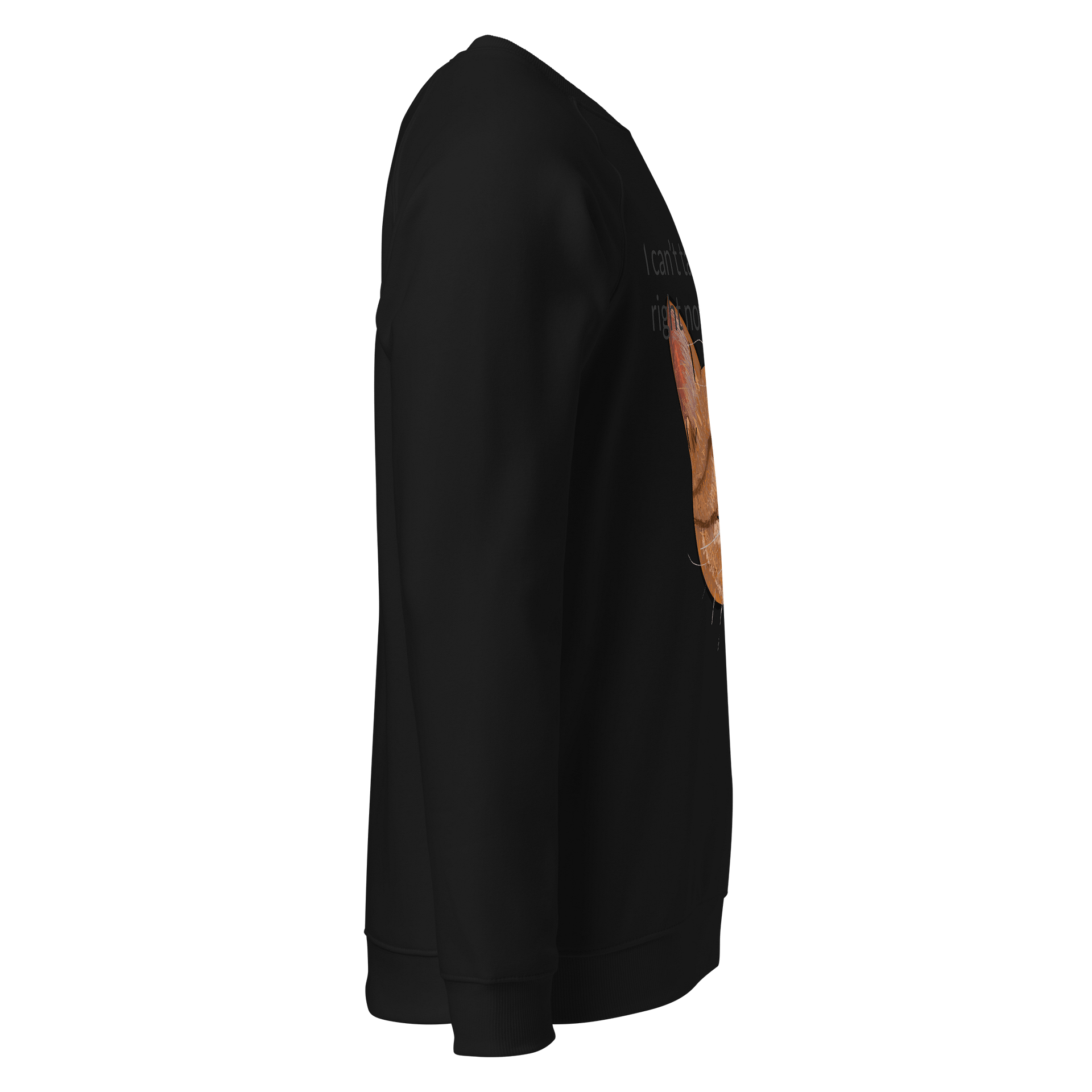 Orangey Knows Raglan Sweatshirt product image (4)