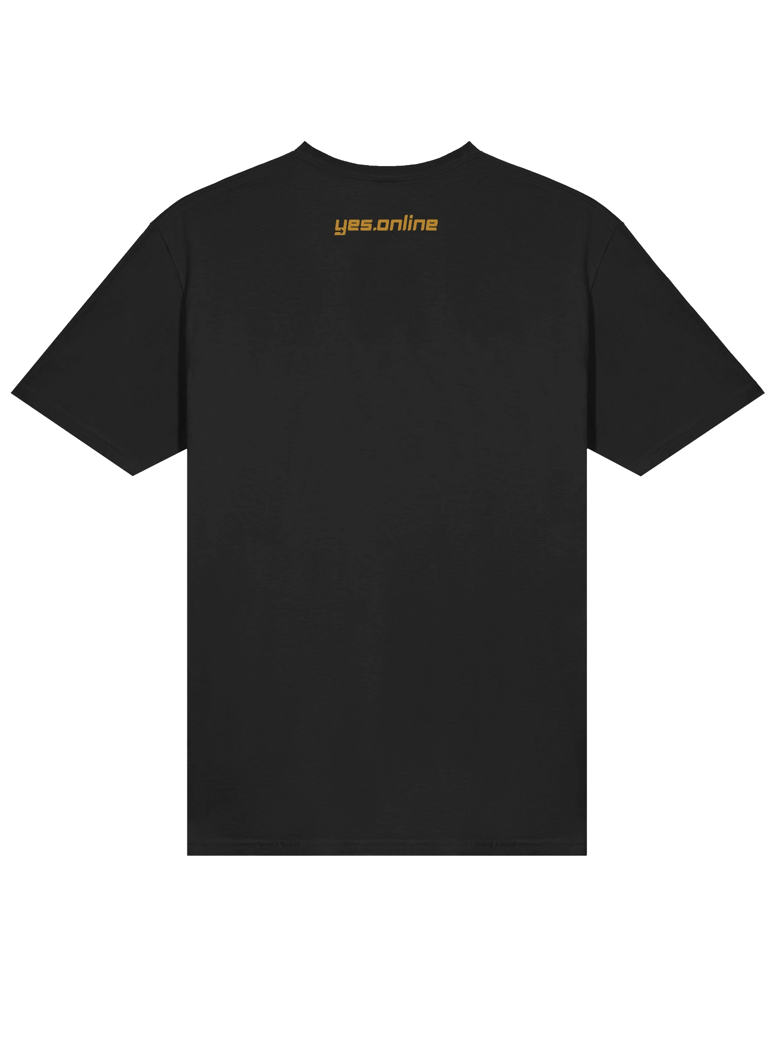 jesus unleashed product image (4)