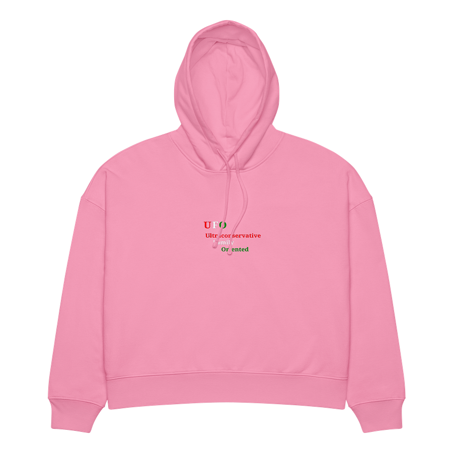UFO Ultraconservative Family Oriented Hoodie product image (3)