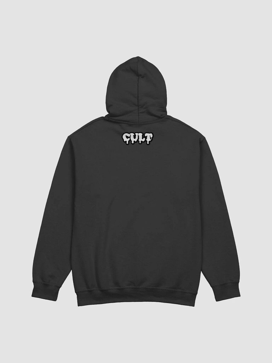 CULT LIFE PAC HOODIE product image (7)