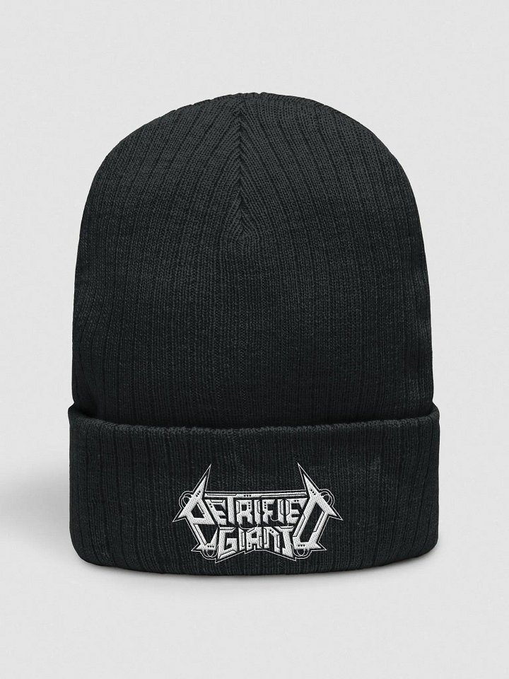 Petrified Giant Beanie product image (1)