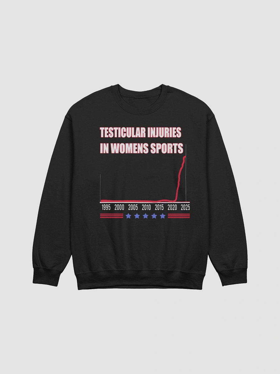 Testicular Injuries In Women Sports Sweatshirt product image (1)