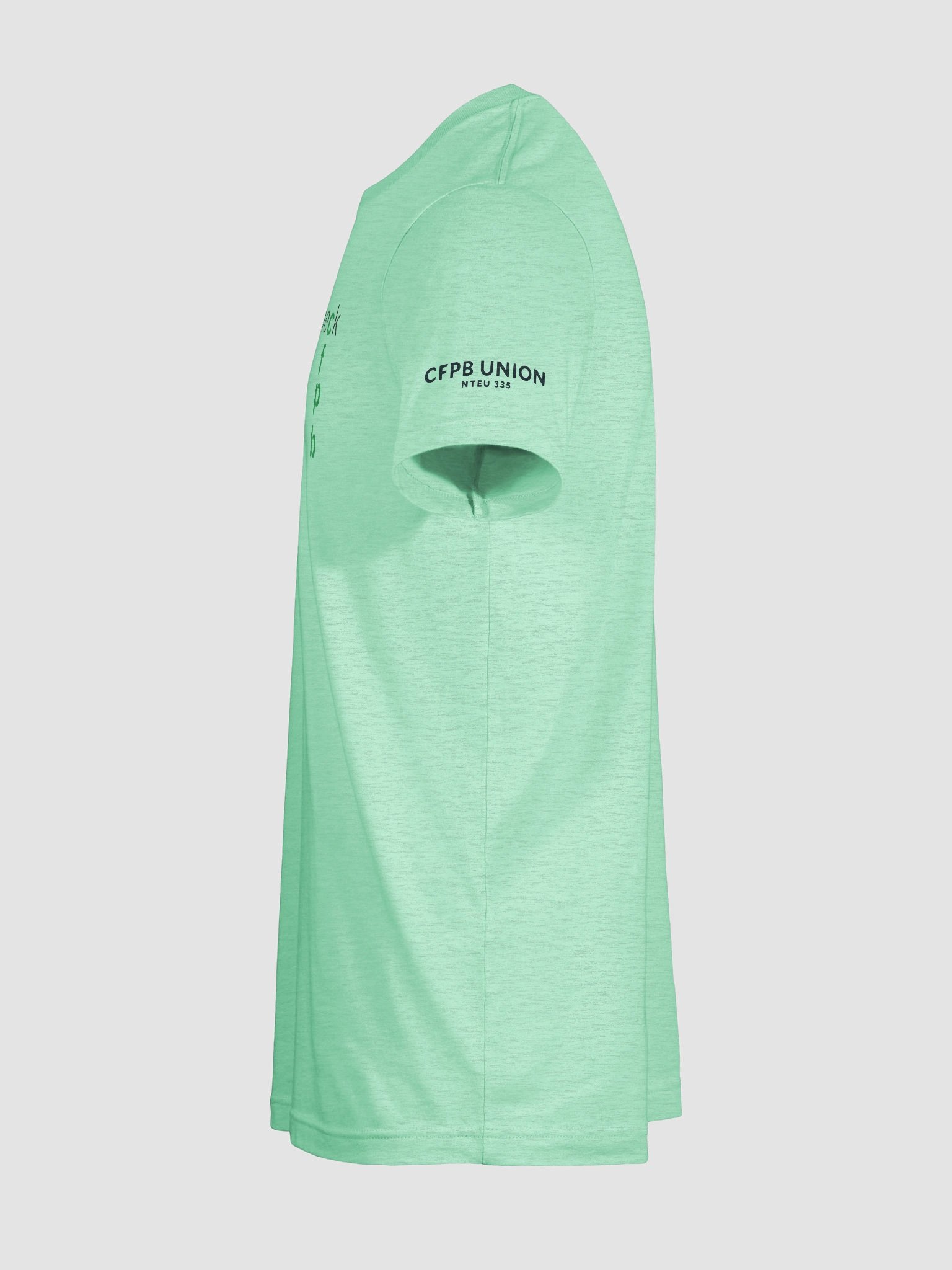 Feisty as Heck T-Shirt product image (11)