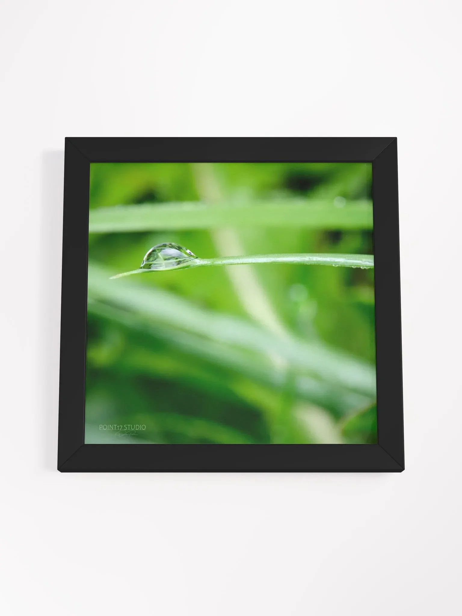 Dew Gems #10 - Framed Print product image (4)