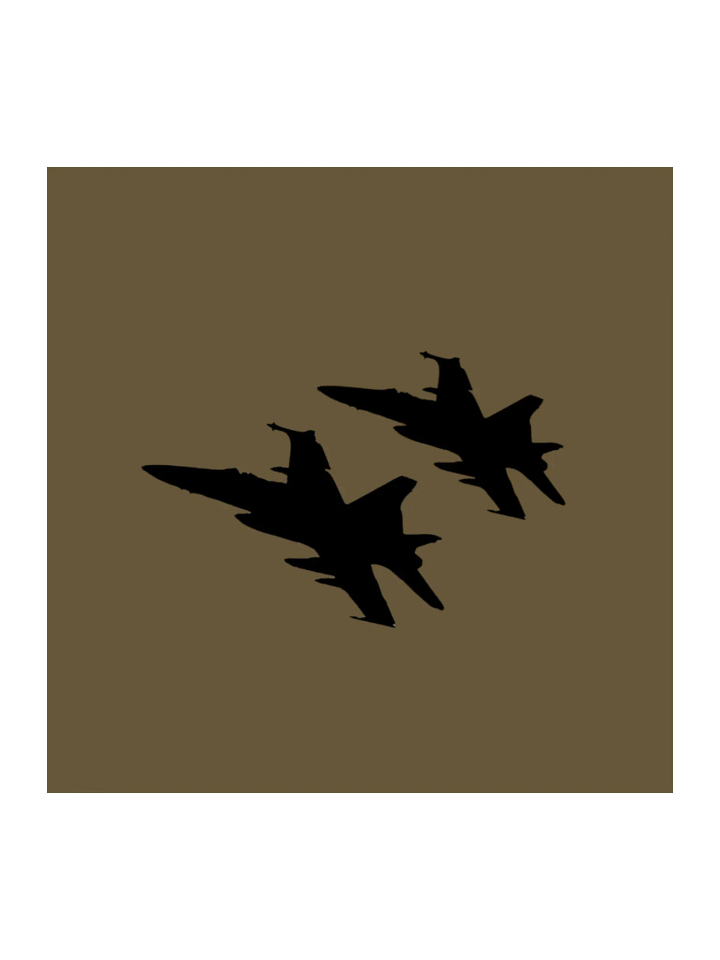 Twin Hornets Logo Sticker product image (1)