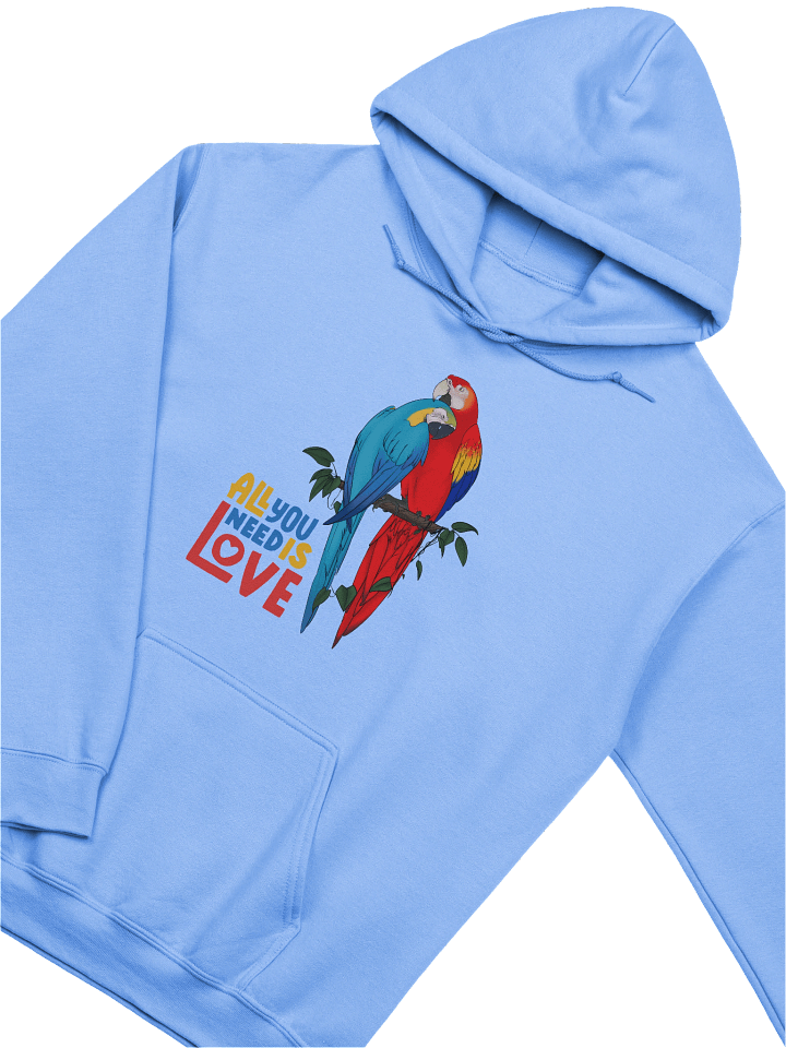 All You Need is Love Unisex Hoodie product image (2)