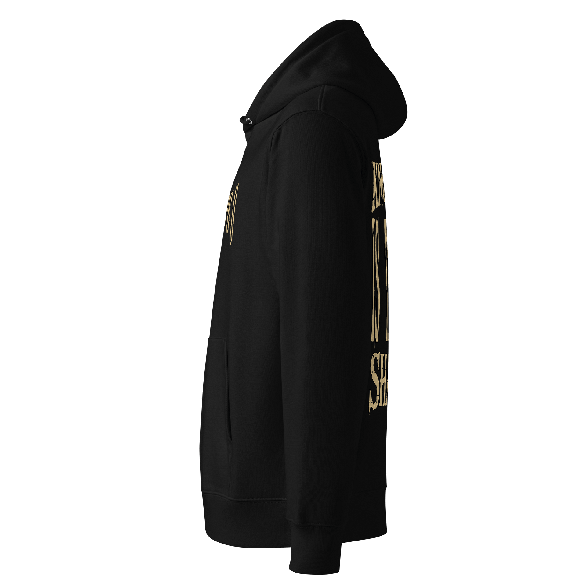 "Knowledge Is The Shadow" Hoodie: Seek Truth. Own Your Enigma. 🖤🧠 product image (5)