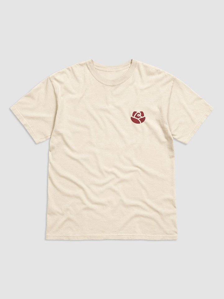 Comfort Colors Garment-Dyed Heavyweight T-Shirt product image (1)