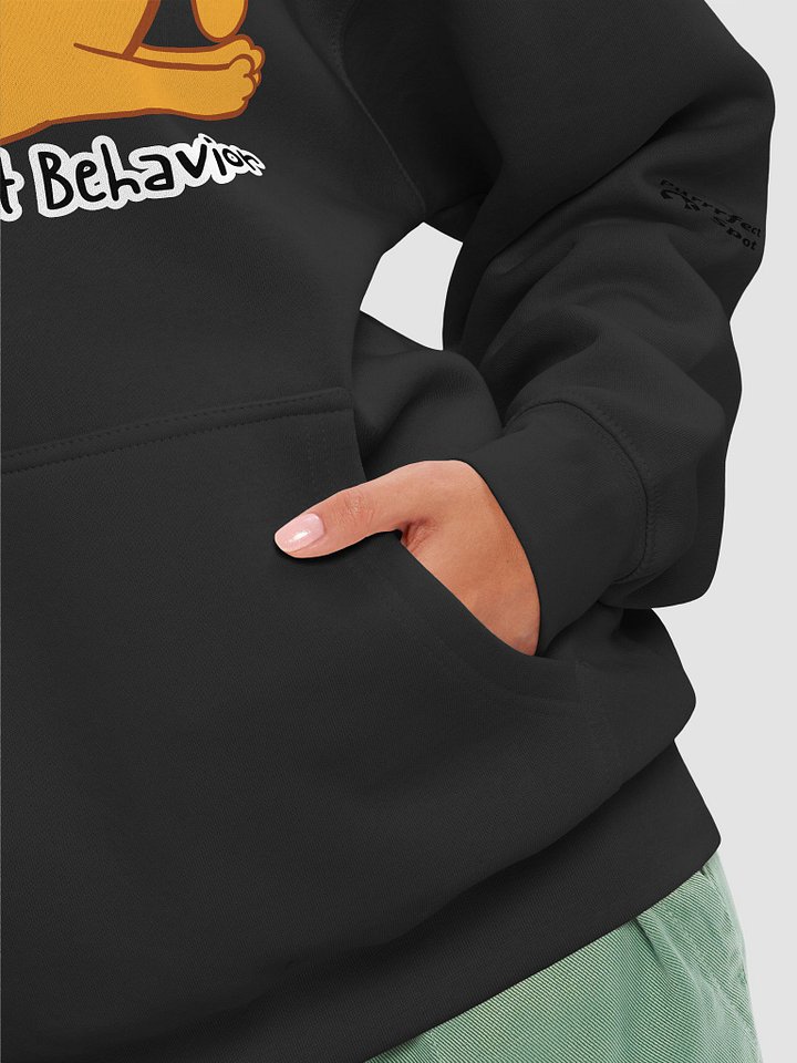 Orange Cat Behavior Hoodie product image (2)