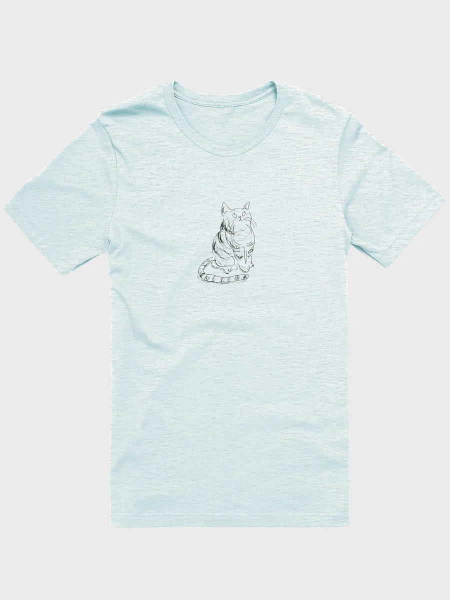 Double Trouble Tabby product image (3)