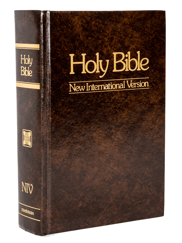 NIV full BIBLE DOWNLOAD product image (1)