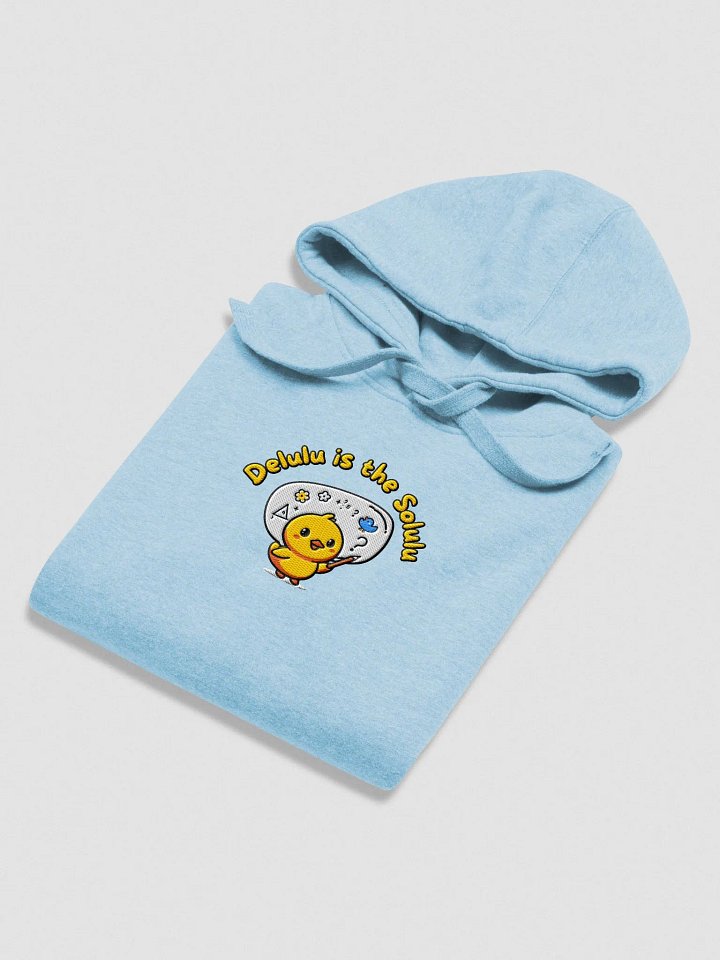 Embroided Delulu Hoodie (Large Logo) product image (25)