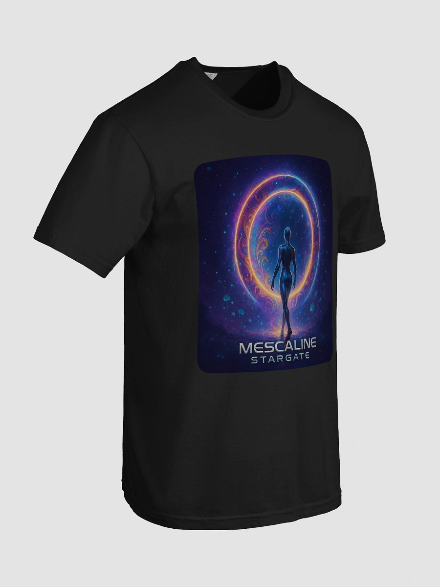 Mescaline Stargate Portal-Shift Tee | Garment-Dyed Heavyweight product image (101)