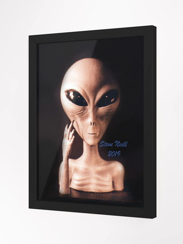 Gray Alien product image (2)