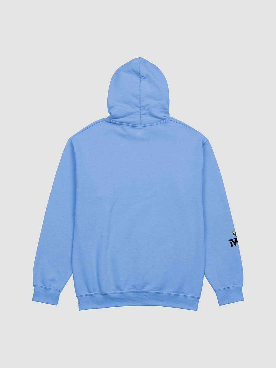 Respectfully Hoodie (Light) product image (4)