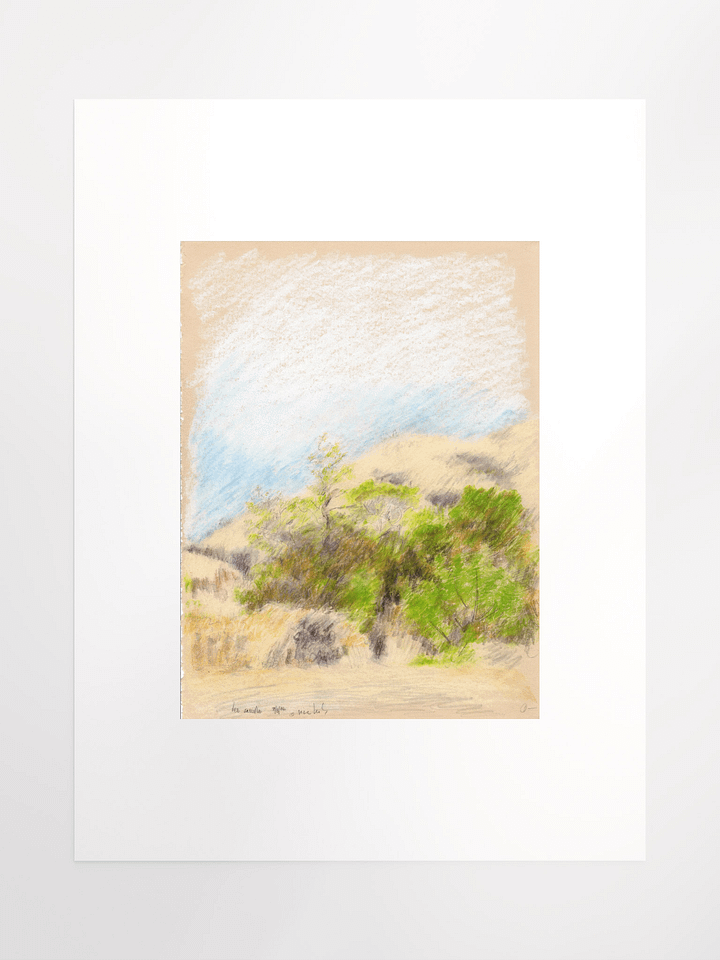Leo Carillo State Park, CA #1 09.08.86 print product image (2)