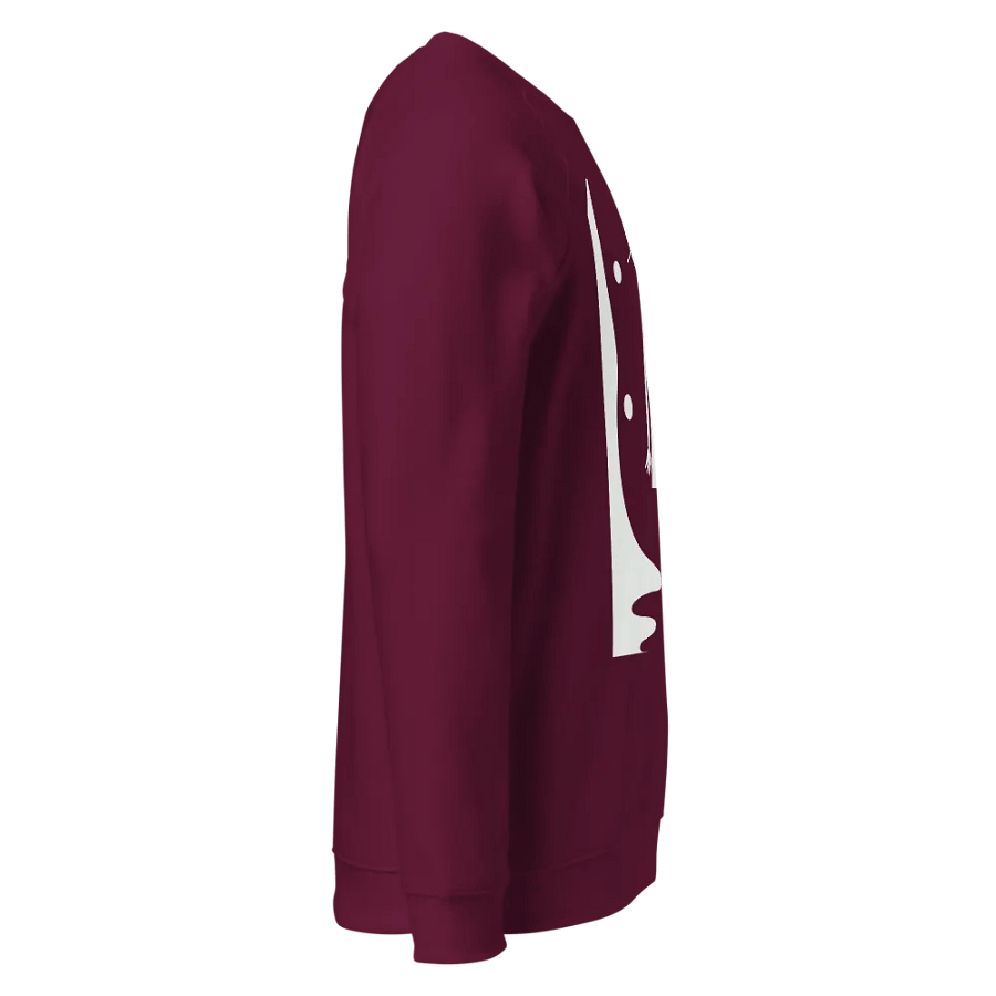 SOL'S Unisex Organic Raglan Sweatshirt product image (2)