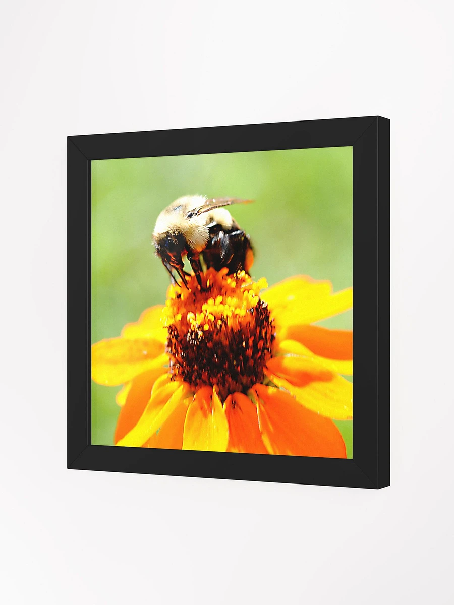Bee On a Flower Framed Poster product image (18)