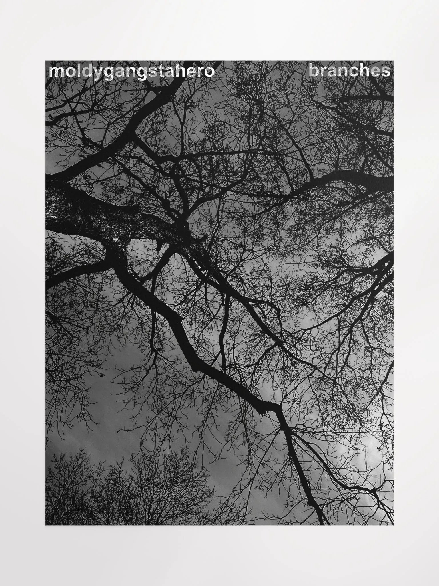 Branches Poster product image (1)